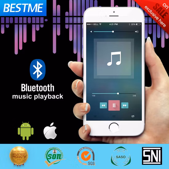 공장 대형 Cerling 샤워 600x800 음악 스테인레스 스틸 LED 천장 비 샤워 폭포 샤워 꼭지 (BMC-9049D)